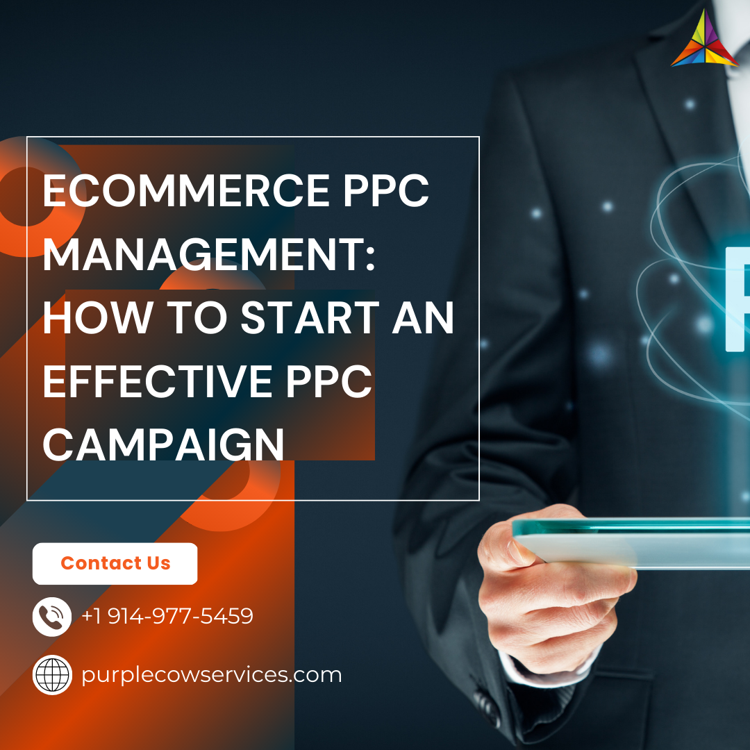 ECommerce PPC Management