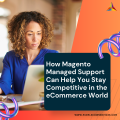 How Magento Managed Support Can Help You Stay Competitive in the eCommerce World