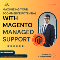 Maximizing Your eCommerce Potential with Magento Managed Support