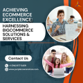 Achieving eCommerce Excellence Harnessing BigCommerce Solutions & Services