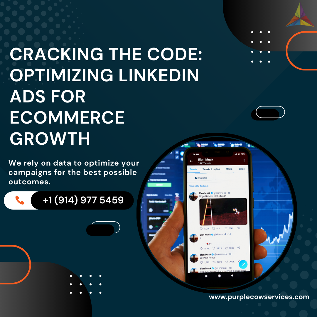 Cracking the Code Optimizing LinkedIn Ads for eCommerce Growth (2)