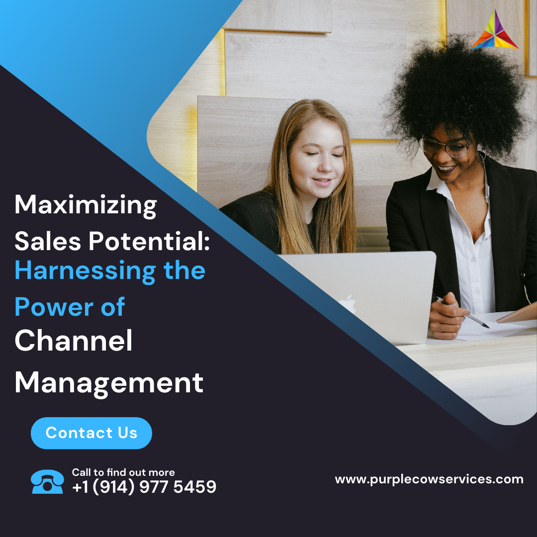 Maximizing Sales Potential Harnessing the Power of Channel Management