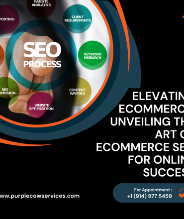 Unveiling the Art of eCommerce SEO for Online Success