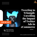 Tweeting to Triumph Unveiling the Impact of Twitter Ads in eCommerce