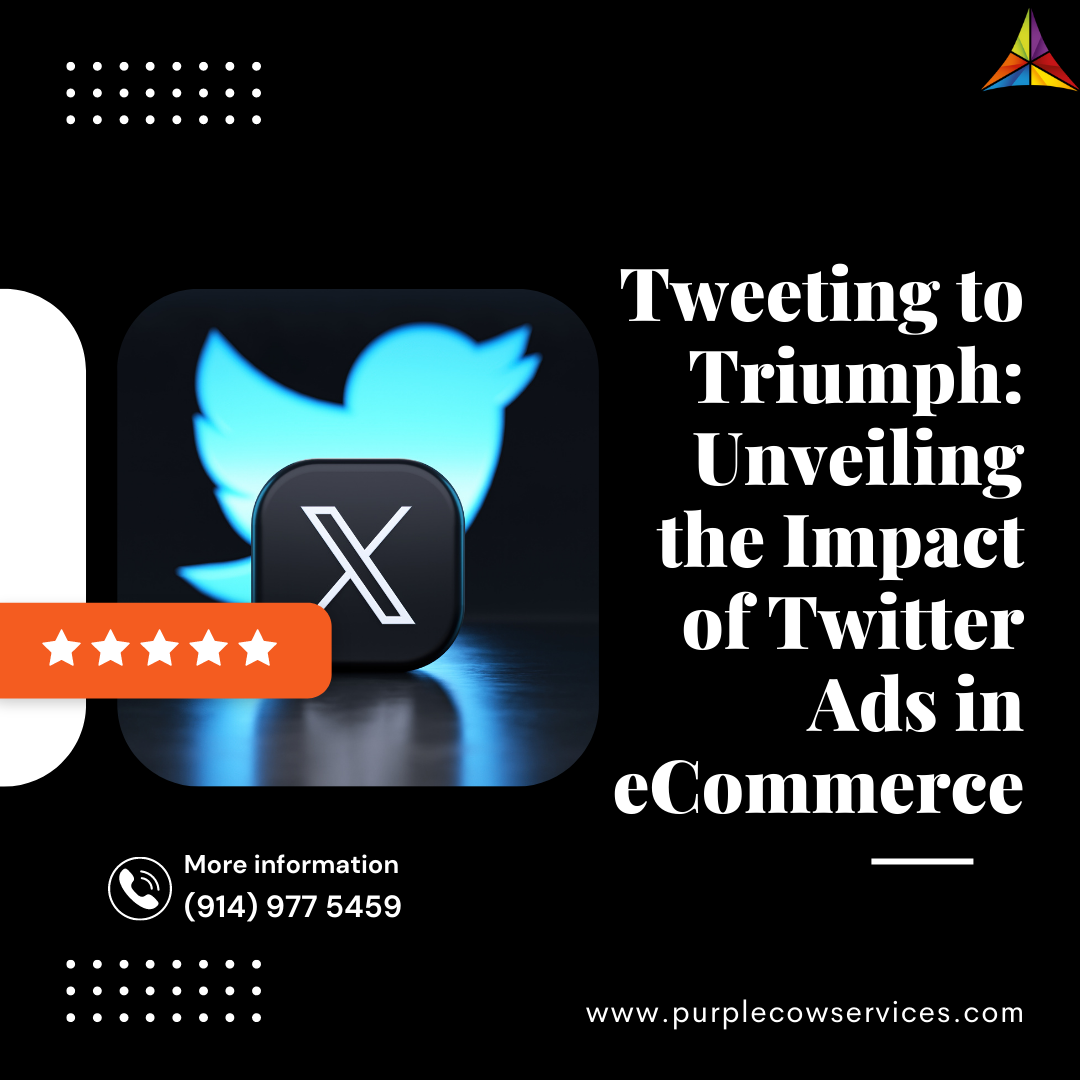 Tweeting to Triumph Unveiling the Impact of Twitter Ads in eCommerce