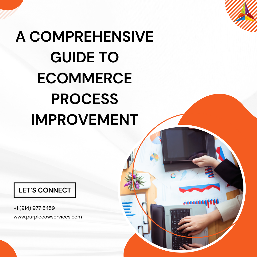 A Comprehensive Guide to eCommerce Process Improvement