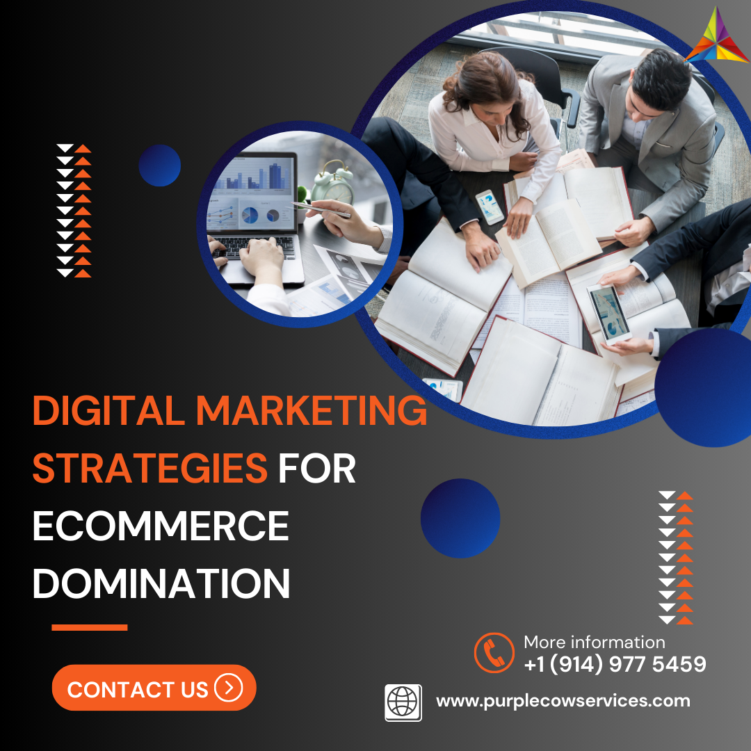 Digital Marketing Strategies for eCommerce Domination