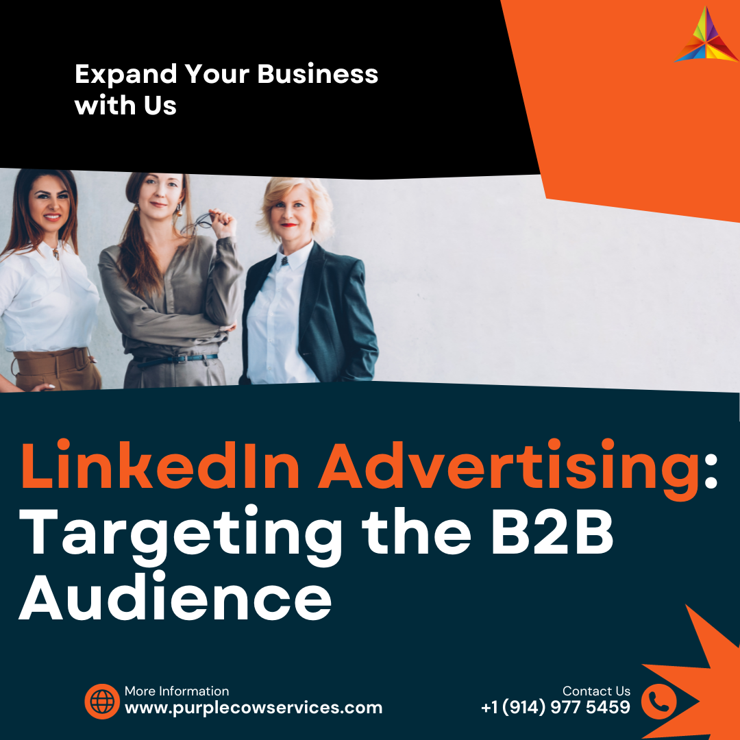 LinkedIn Advertising: Targeting the B2B Audience