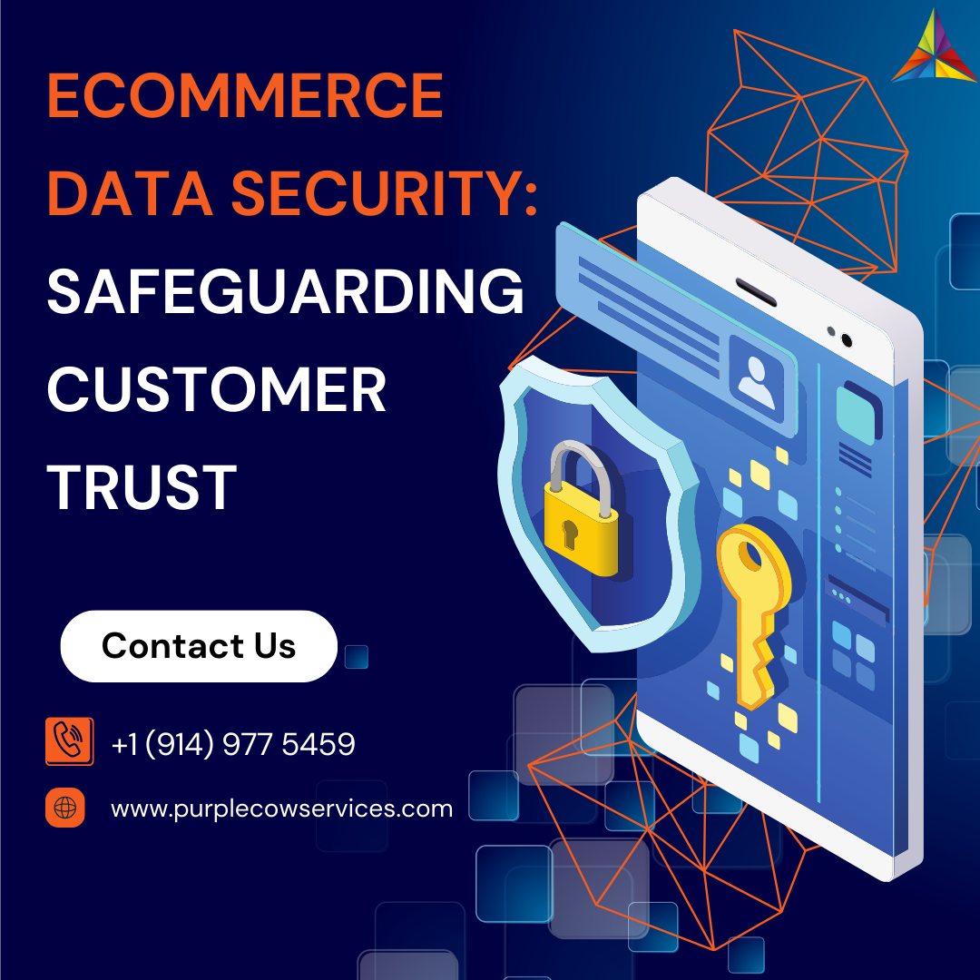 eCommerce Data Security: Safeguarding Customer Trust